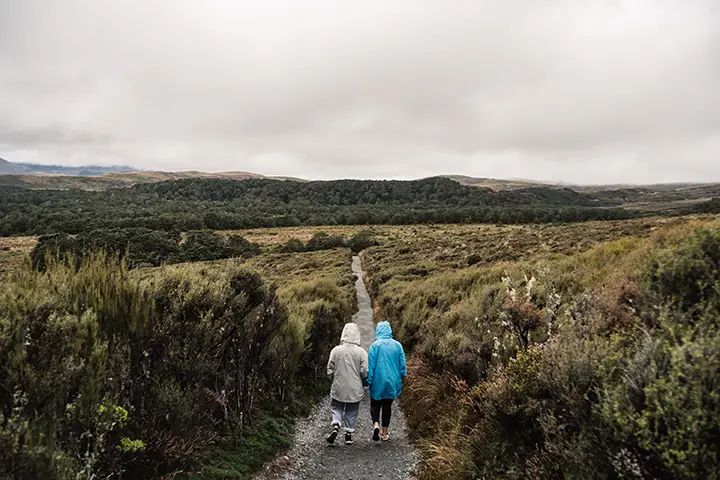 Electrical outlet in New Zealand